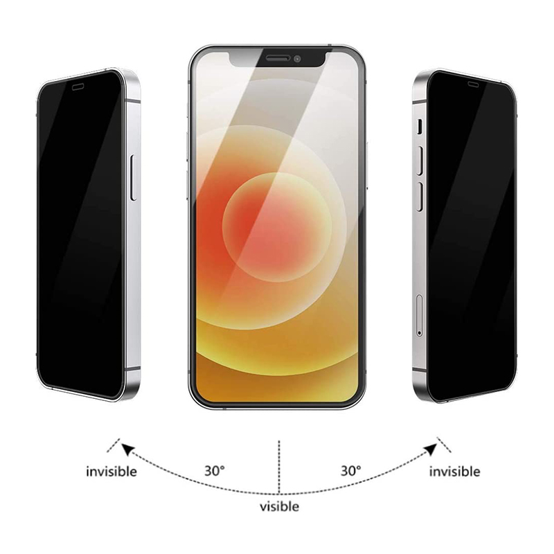 Privacy screen protector